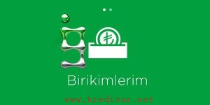 garanti-birikim