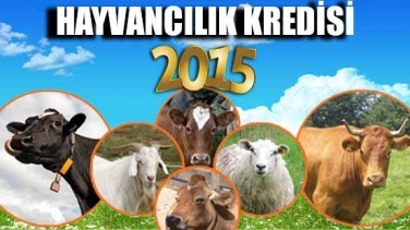 hayvancılık kredisi